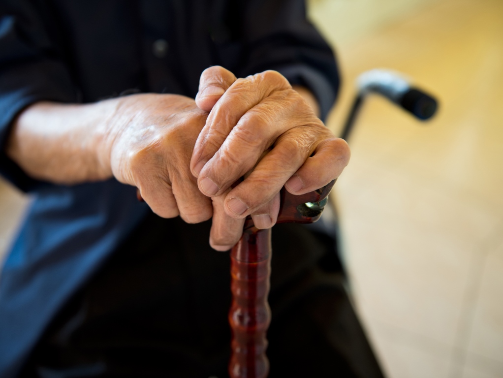 shutterstock_135301103