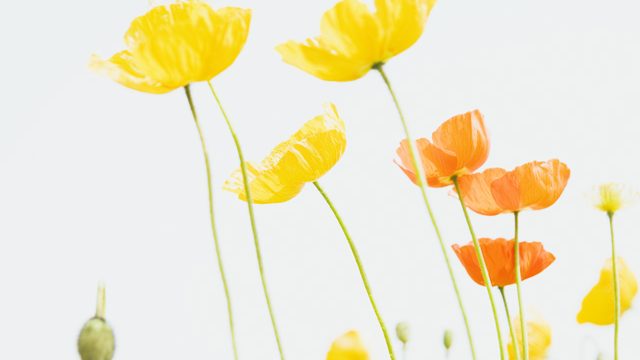 今の自分達に合った保険に加入し直しました