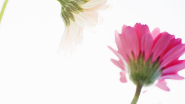 妻の死をきっかけに保険を見直しました