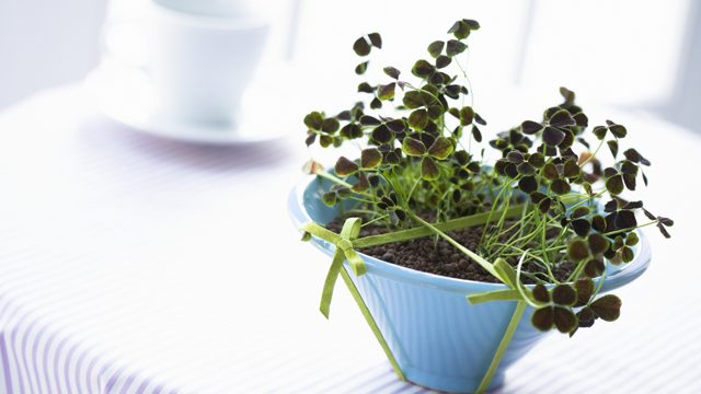 医療特約から医療保険へ